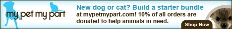 Donate to Arizona Cactus Corgi Rescue