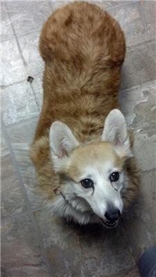 Rescue